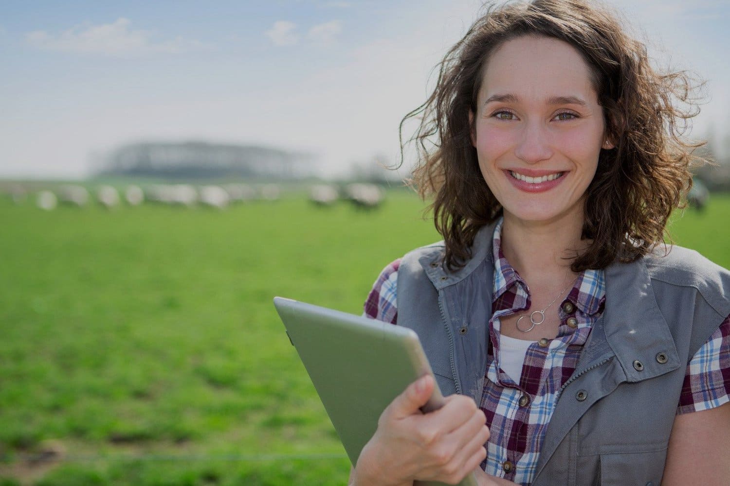 Groupement Foncier Viticole (GFV)