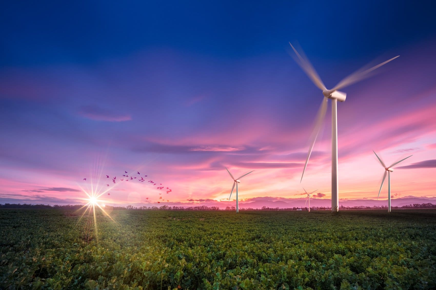 Les énergies renouvelables